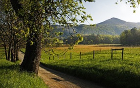 Весенее утро