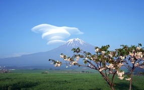 Природа у подножия горы