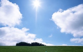 Солнечный свет