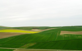 Майские поля