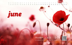 Календарь Июнь 2011