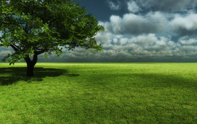 Зеленая равнина