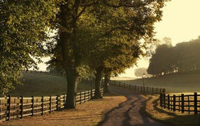 Дорожка в деревню