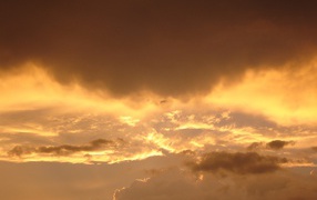 Коричневое небо