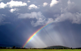 После грозы