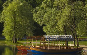 Стихи о лете