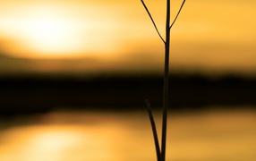 Безметежность