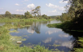 Польская речка