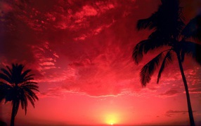 Закат на берегу Тихого океана