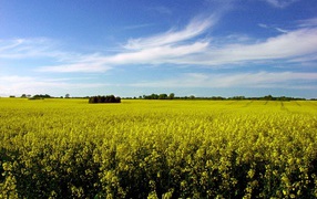 Превосходство лета