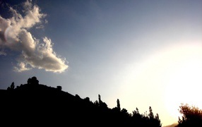 Летний вечер