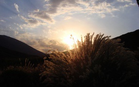 Вечернее небо