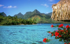 Райская лагуна