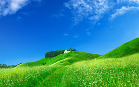 Зеленые холмы