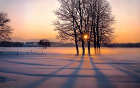 Зимняя аллея