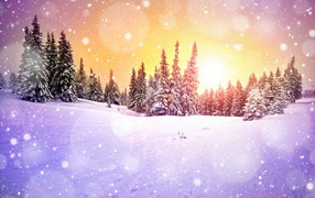 Лес в сугробах