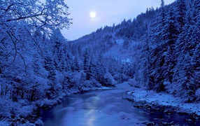 Замерзшая река