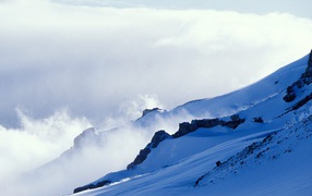 Сильный ветер