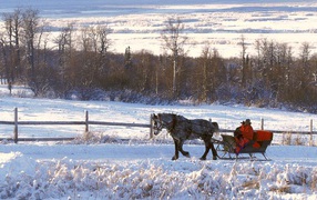 Поездка на лошади