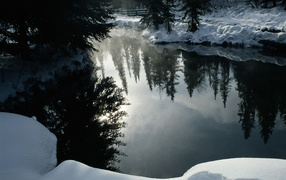 Природа в зеркале