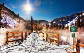 Дорожка в Лес