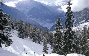 Катание на лыжах в Швейцарских альпах