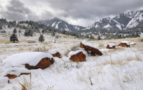 Спящая природа