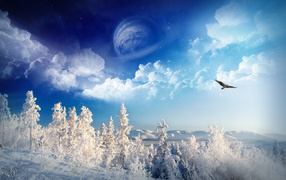 Страна чудес