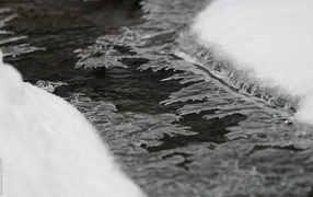 Зимние ледяные цветы