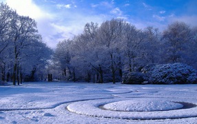 Зима в парке