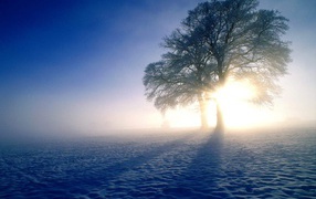 Зимнее вдохнавление