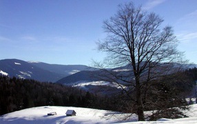 Зимний пейзаж