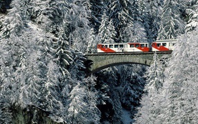 Зимнее путишествие