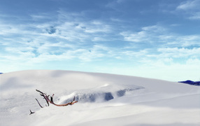 Зимняя страна чудес