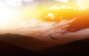 На высоте птичьего полета