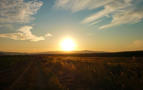 Закат в поле