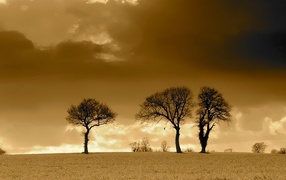 Вечерние облака