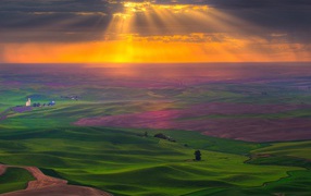 Поля на закате