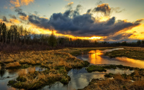 Золотой закат