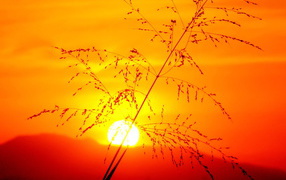 Красивый закат