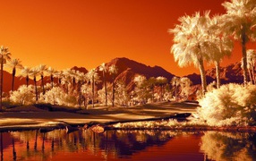 Последний закат