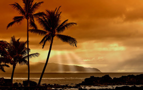Закат в тропиках