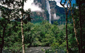 Водопад Ангела Венесуэла