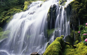 Красивый лесной водопад