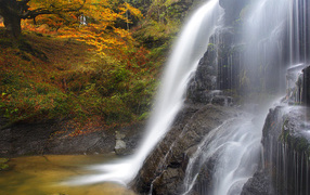 Водопад в лесу