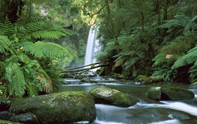 Hopetoun Falls Australia