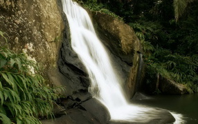 Маленький лесной водопад