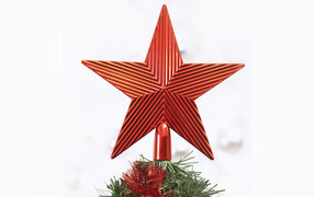 A star on a Christmas tree