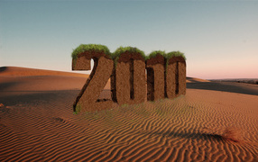 New Year 2010 Desert