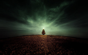 Новогодняя елочка